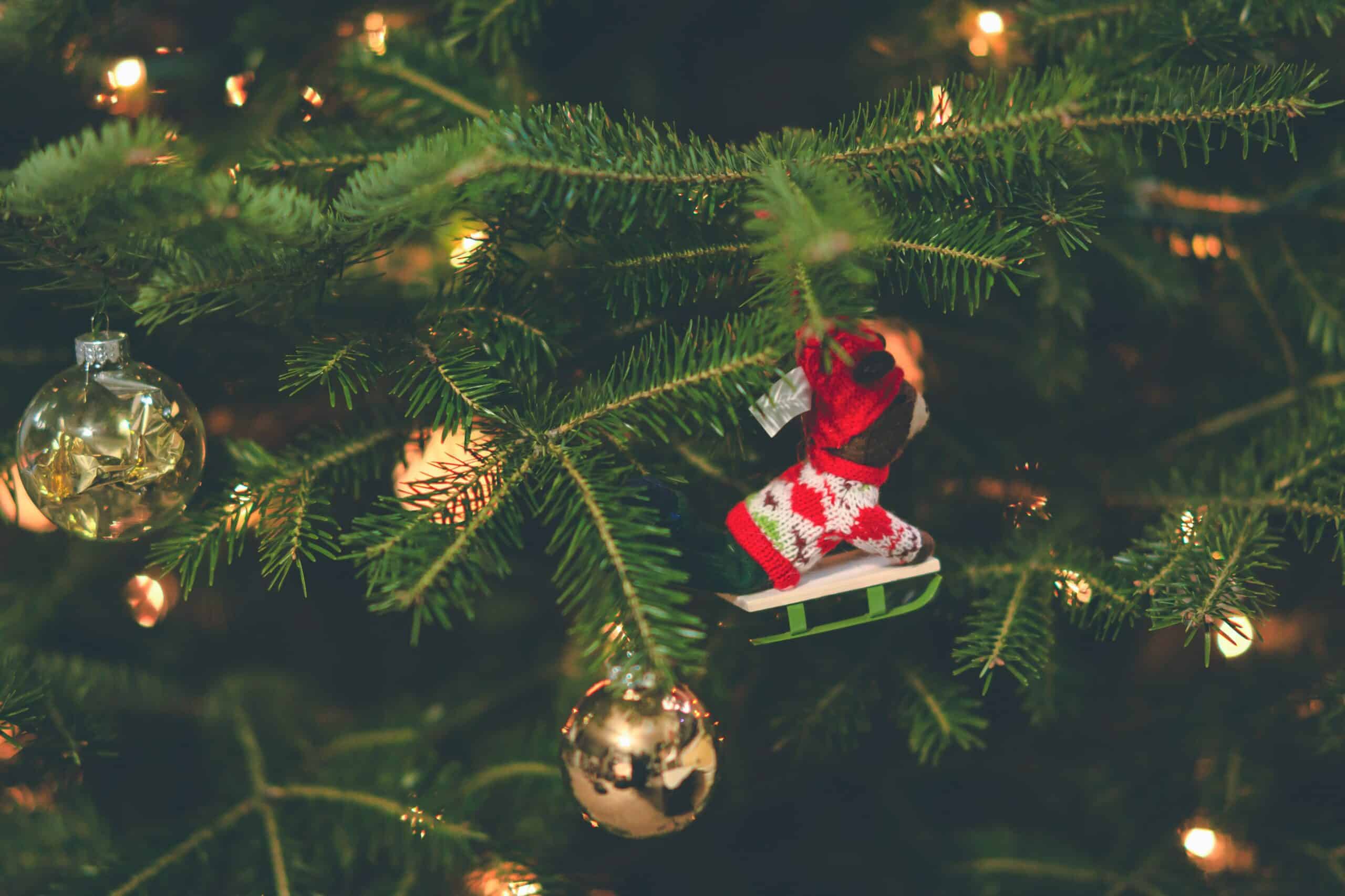 Krydr julen med julepynt